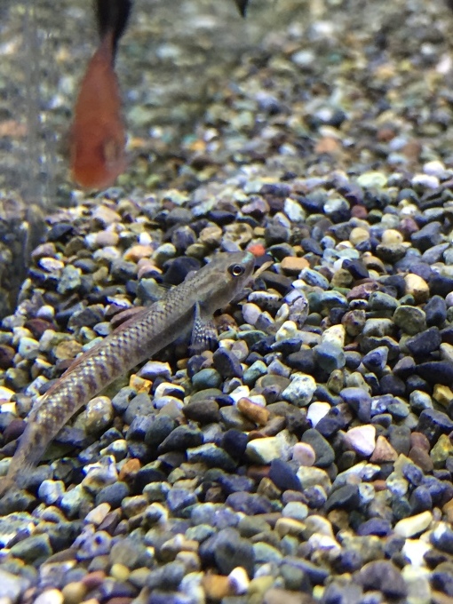 f0212047_21001253.jpeg