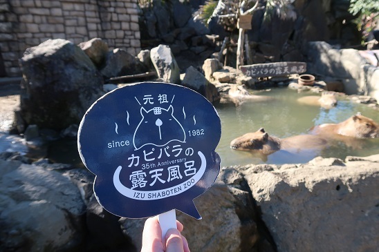ちょっと「ひと息」つきませんか_e0133255_14450938.jpg