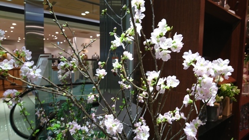 静嘉堂文庫美術館へ_e0249060_14484785.jpg
