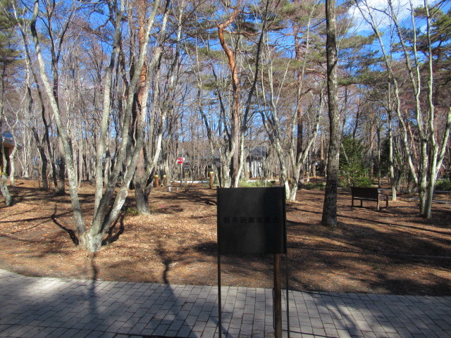 f0236260_21383432.jpg