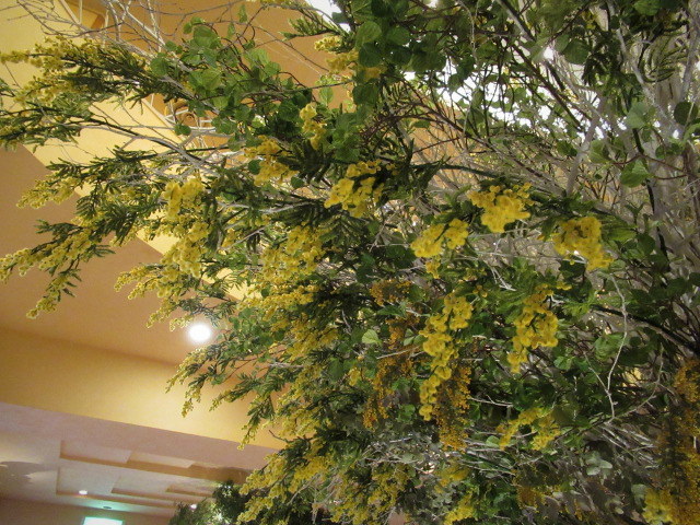 f0236260_22433302.jpg