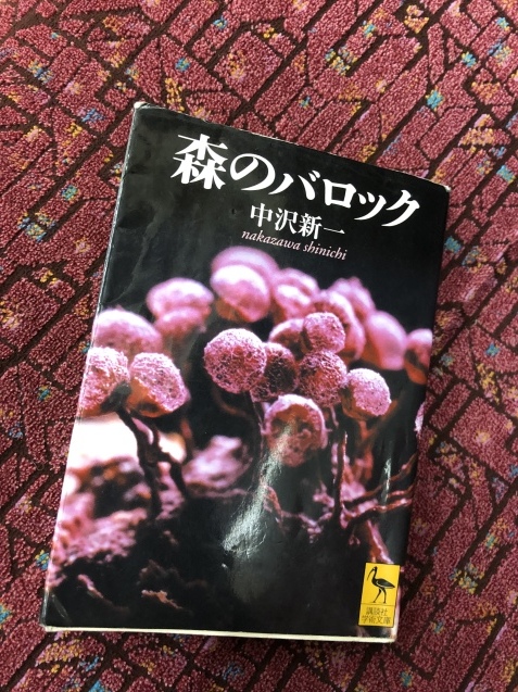 c0195362_21495900.jpeg
