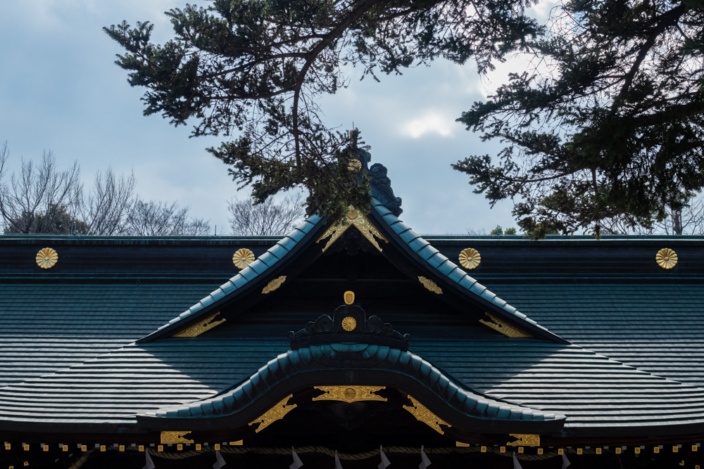 大国魂神社_a0261169_09431642.jpg