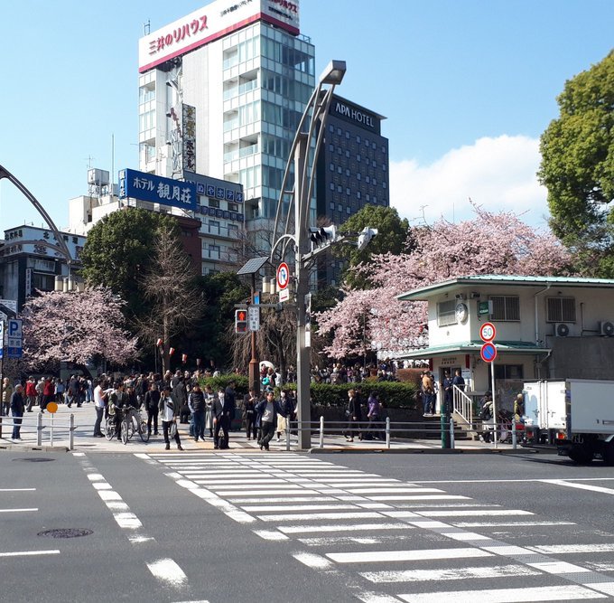 奇想の画家展覧会、東日本大震災と明治の震災、夢十夜、急転直下不調:2019/3/8-14twitterまとめ_b0116271_11533849.jpg