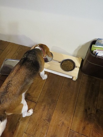 Diy 犬用えさ用食器台の製作 あいやばばライフ Diy 犬用えさ用食器台の製作 あいやばばライフ
