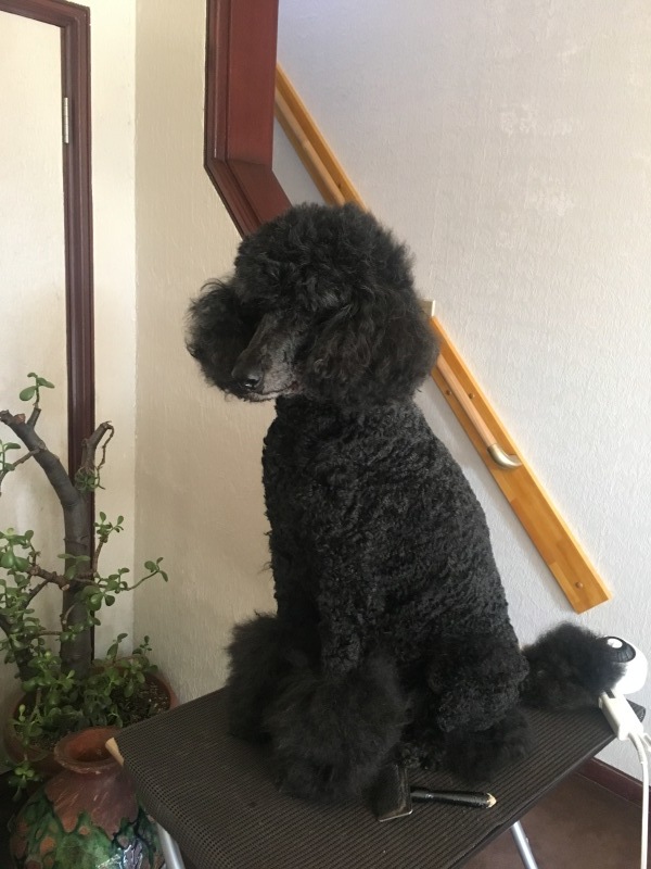 c0283778_11183168.jpeg