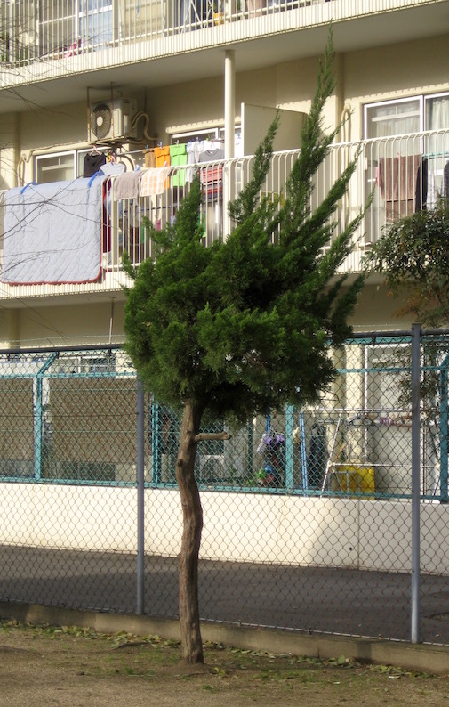 b0057679_09360051.jpg