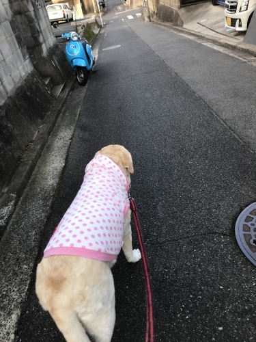 f0315081_21301297.jpeg
