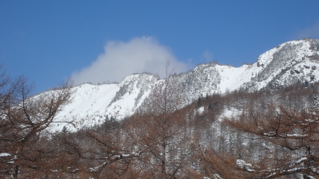 ブログがお知らせコ－ナ－に変更になります_e0120896_14491144.jpg