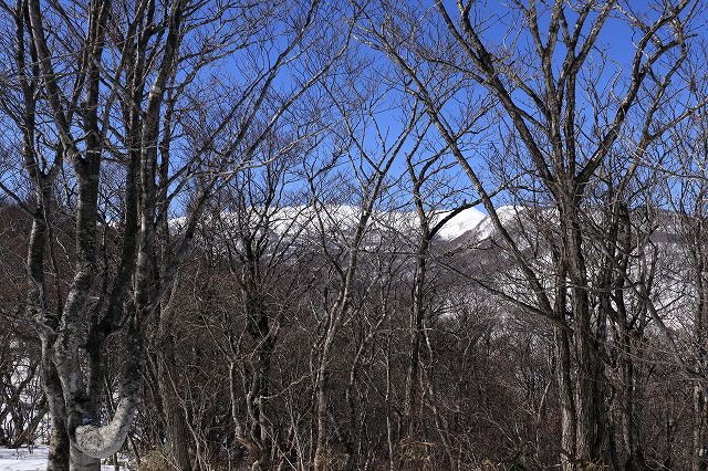 e0137200_19102388.jpg