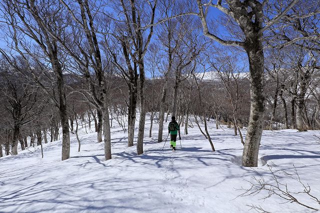 e0137200_19104261.jpg