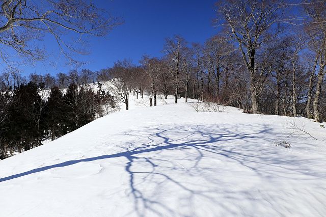 e0137200_1983348.jpg