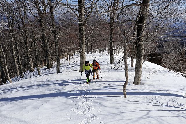 e0137200_1984552.jpg