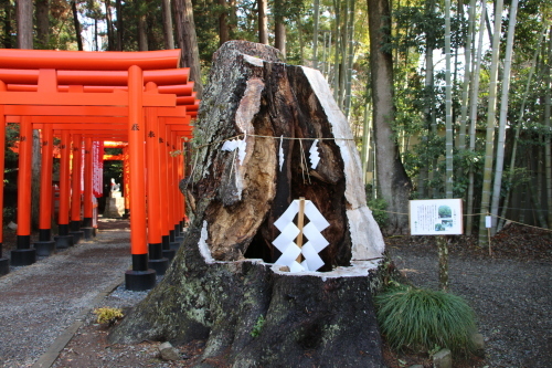 偕楽園に入る前、常盤神社にお参り_c0075701_21442450.jpg