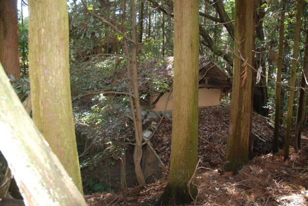 d0359503_20105813.jpg