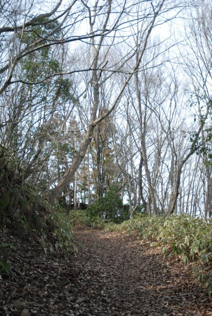 d0359503_20131533.jpg