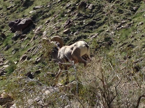 a0331910_13161801.jpeg