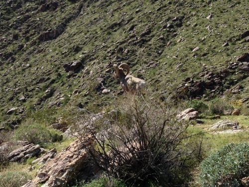a0331910_13192121.jpeg