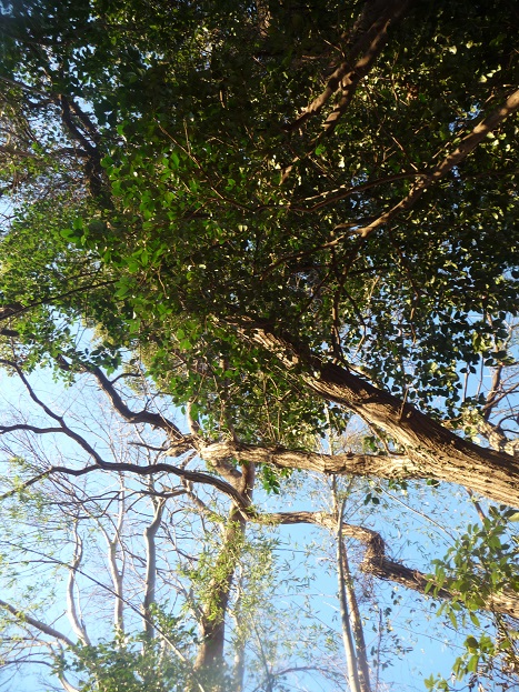 c0202113_1638177.jpg