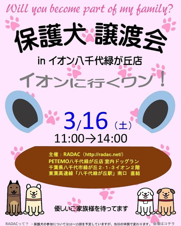 3 16 土 は里親会です ねころん 3 16 土 は里親会です ねころん
