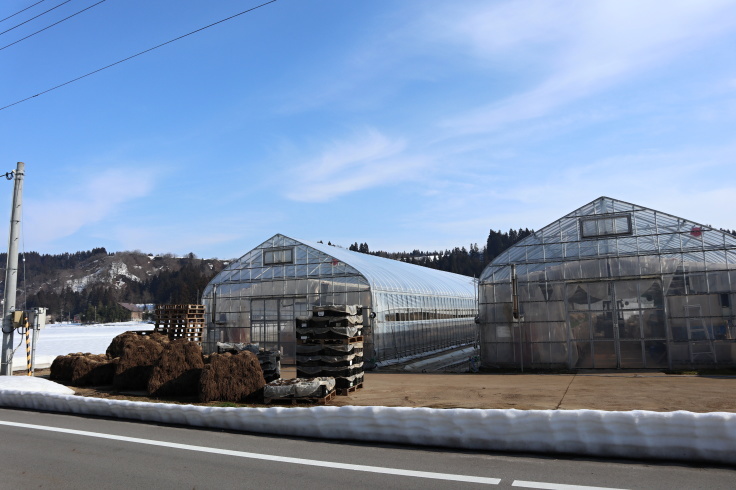 球根コンテナ到着_f0067514_09072179.jpg