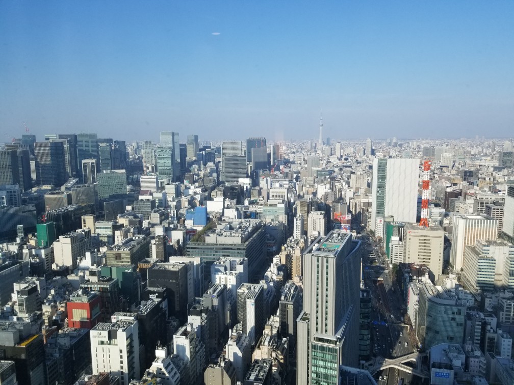 d0162225_12032869.jpg