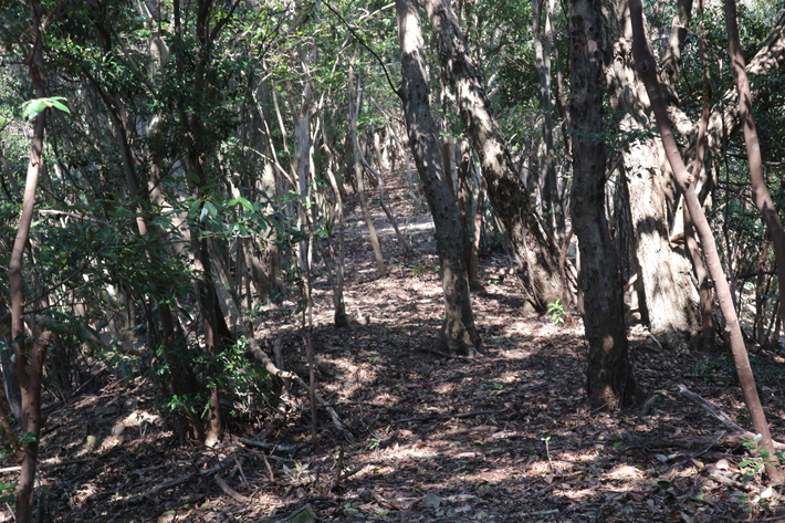 e0272335_17403361.jpg