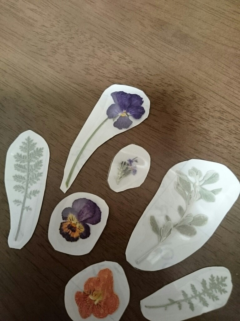 押し花 押し葉アート シール編 Suichion