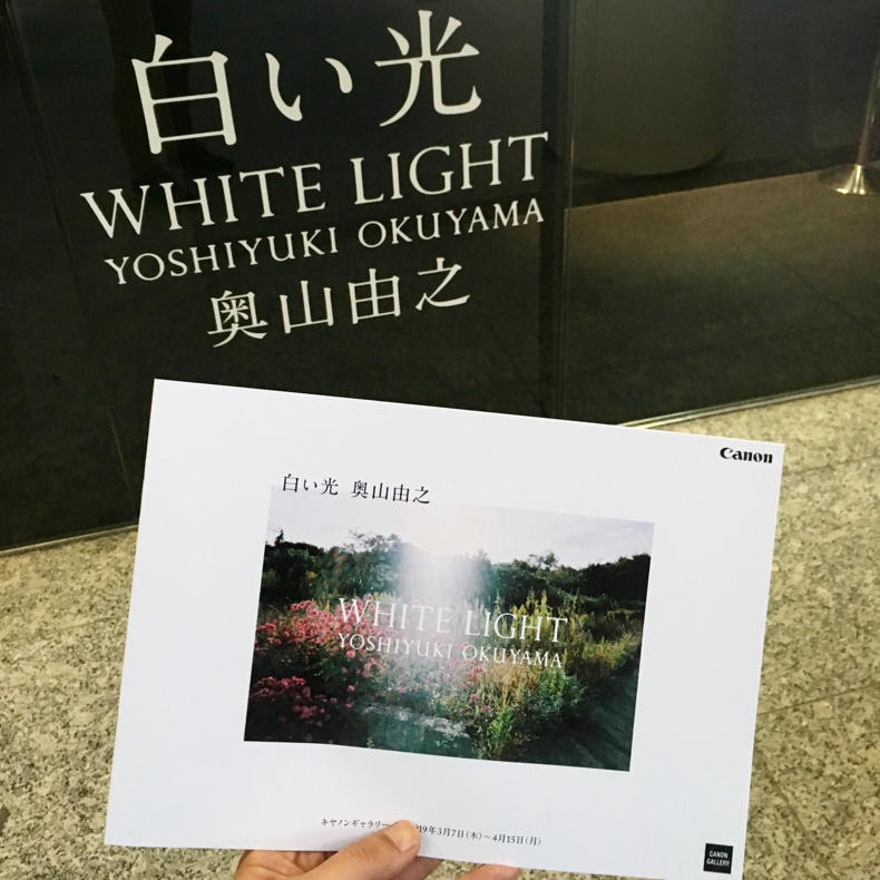 暗闇の中を照らしながら写真を鑑賞_c0060143_21241040.jpg