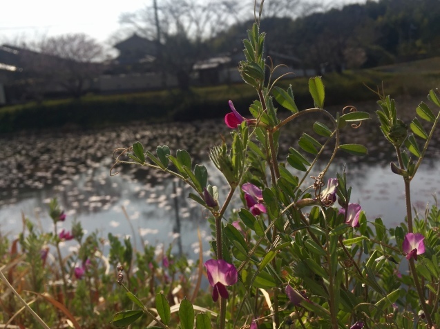 d0145345_21213207.jpeg