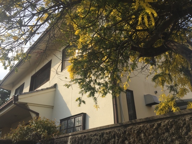 d0145345_21322673.jpeg