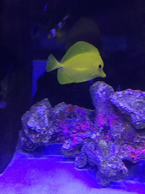 f0212047_21332391.jpeg