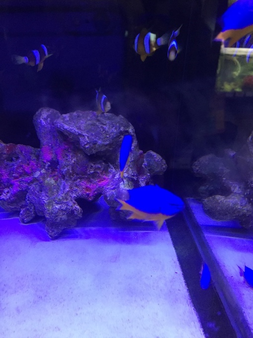 f0212047_21333579.jpeg
