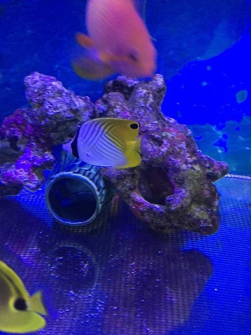 f0212047_21334995.jpeg