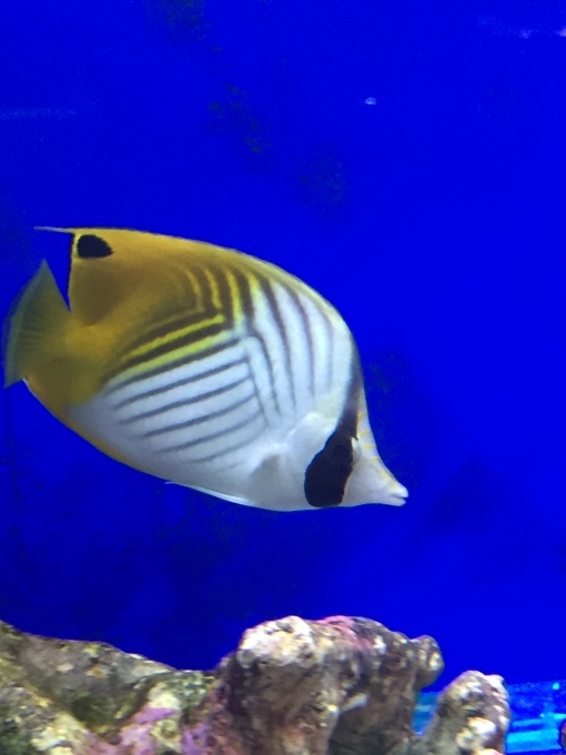 f0212047_21340810.jpeg