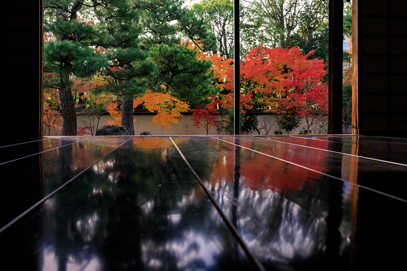 京の紅葉2018　彩りの廬山寺_f0155048_23304270.jpg