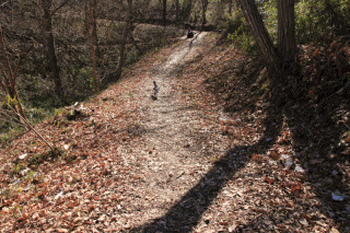 c0145250_19373386.gif