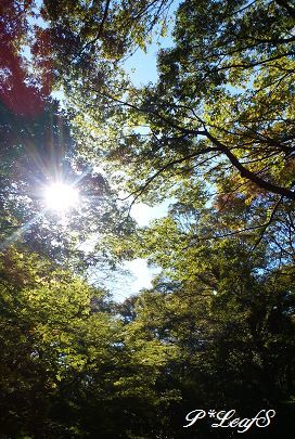 c0176651_23323692.gif