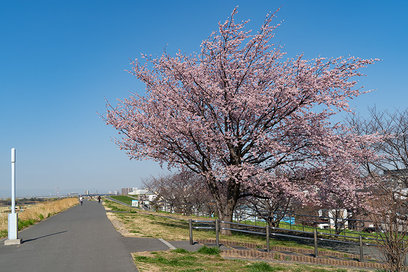 2019/03/15　川口から赤羽まで_b0171364_12314170.jpg