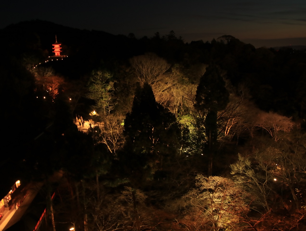 2019年3月 京都府・四条河原町 花灯路_d0202264_12221748.jpg