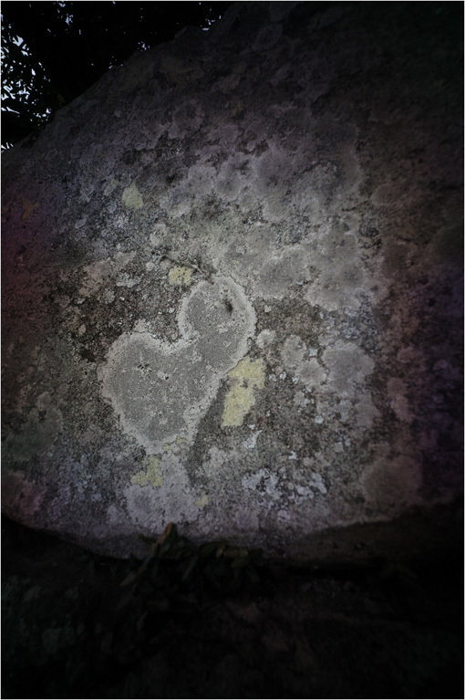 c0168172_23345898.jpg