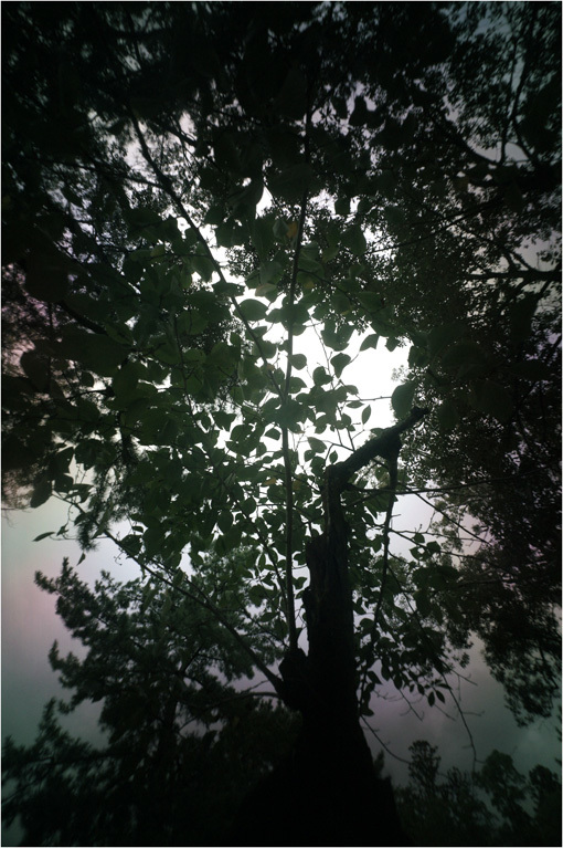 c0168172_23374499.jpg