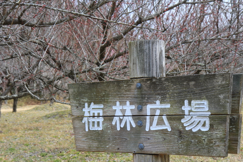 c0283778_11340104.jpeg