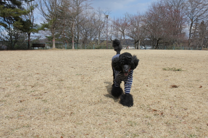 c0283778_11382012.jpeg