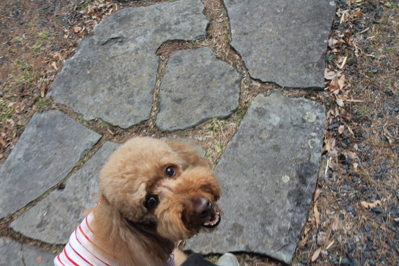 c0283778_11472806.jpeg