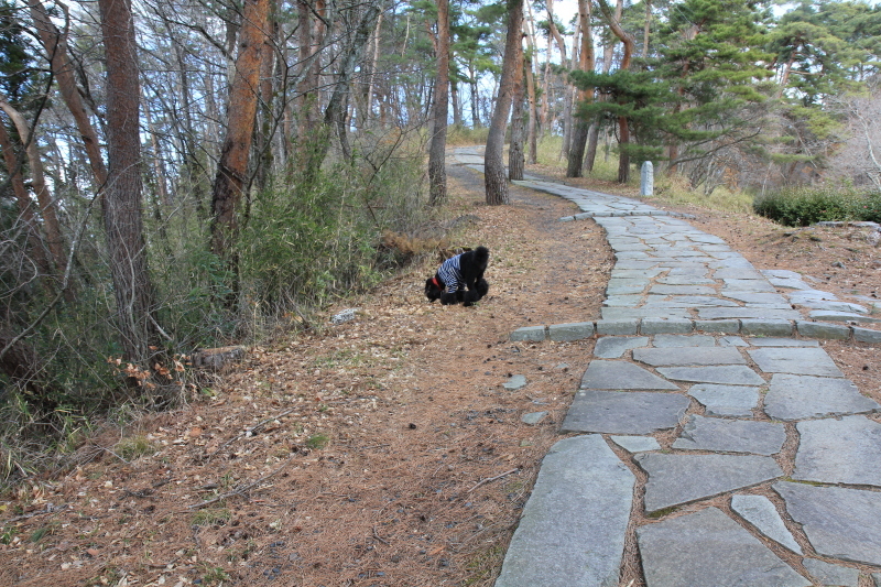 c0283778_11480317.jpeg