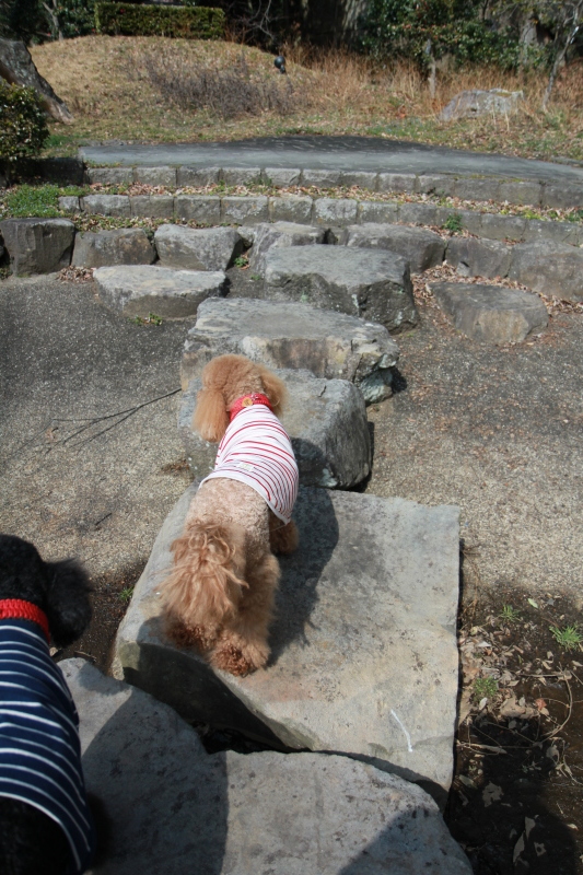 c0283778_11503111.jpeg