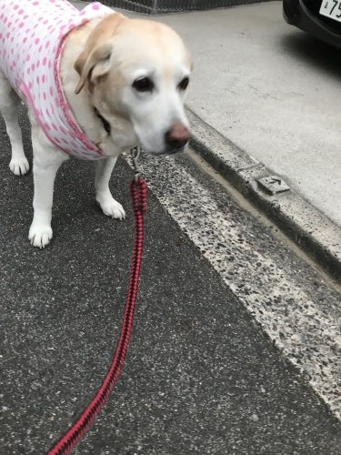f0315081_22592377.jpeg