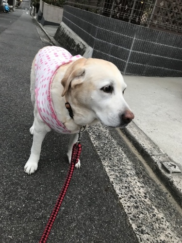 f0315081_22595551.jpeg