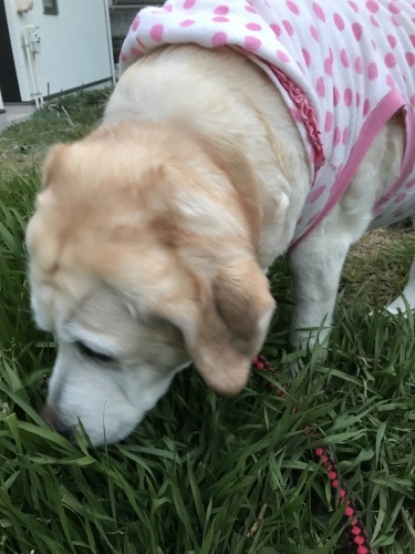 f0315081_23013660.jpeg